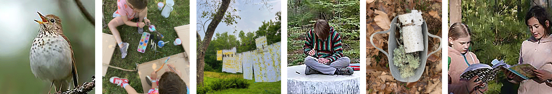Campers making art on the dunes at the Desert of Maine