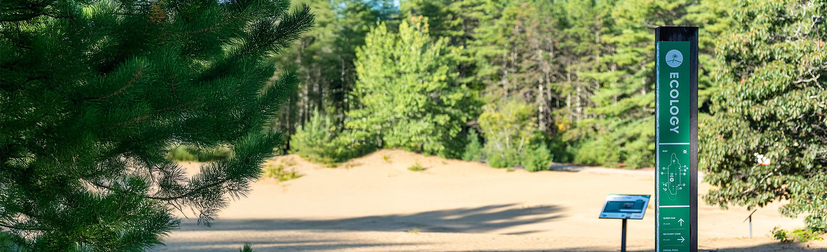 An ecology walk across the dunes at the Desert of Maine