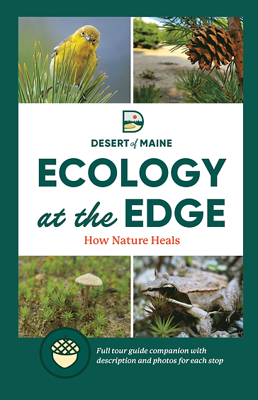 Ecology at the Edge field guide cover